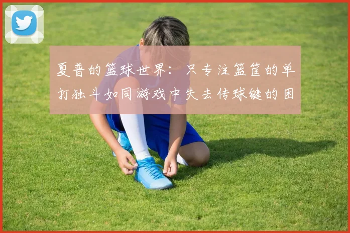 夏普的篮球世界：只专注篮筐的单打独斗如同游戏中失去传球键的困境