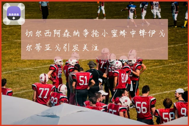 切尔西阿森纳争抢小蜜蜂中锋伊戈尔蒂亚戈引发关注