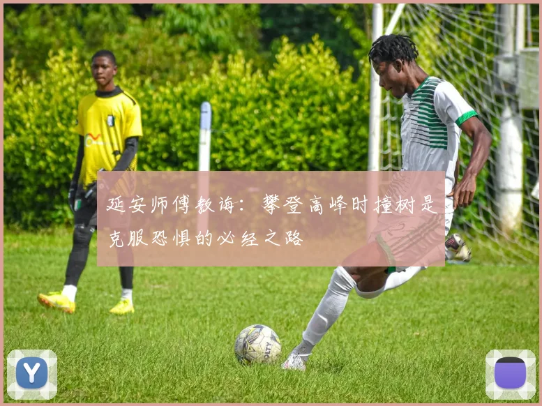 延安师傅教诲：攀登高峰时撞树是克服恐惧的必经之路